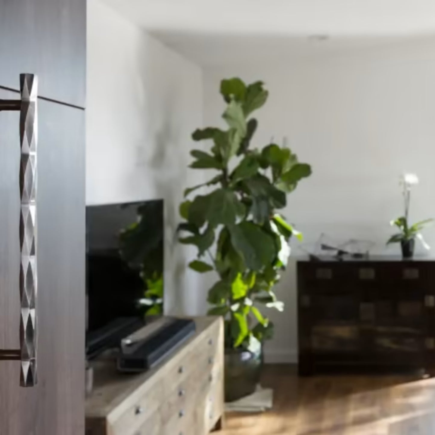 Tribeca Cabinet Pull