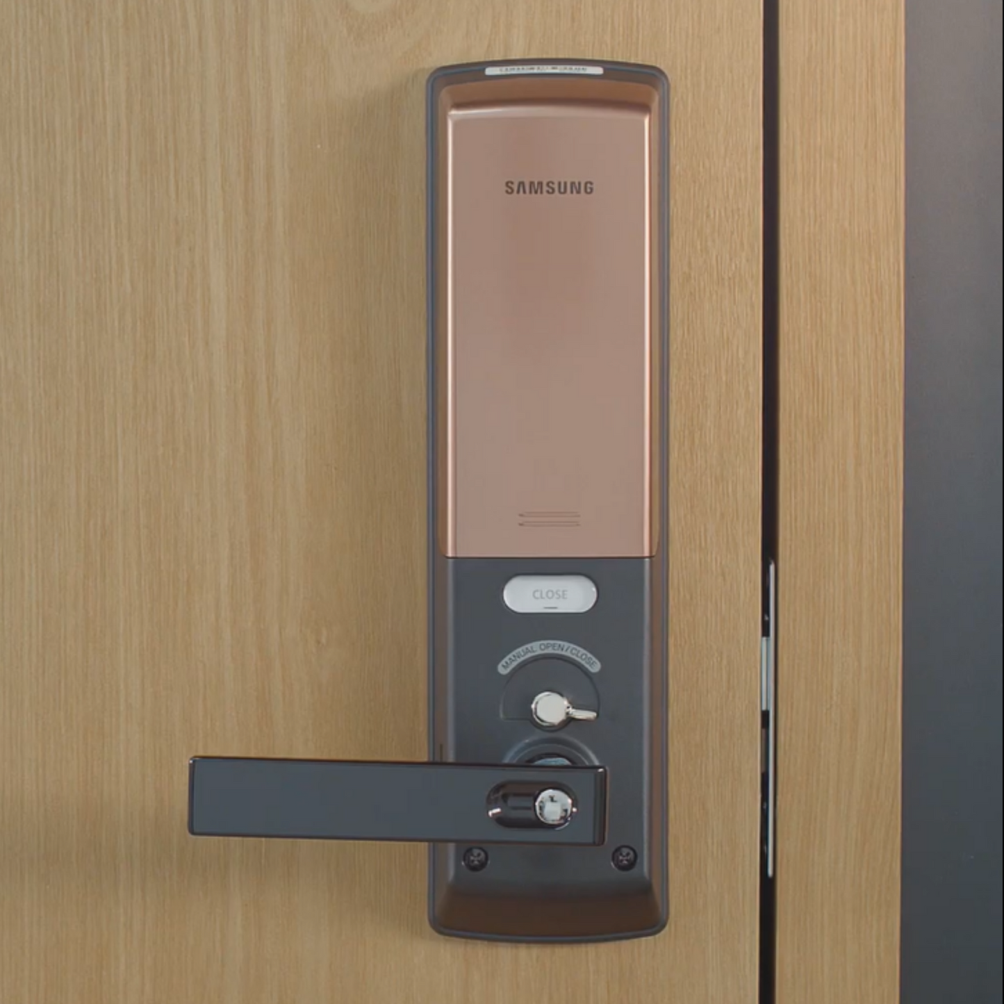 Biometric Fingerprint Lock SHP DH538