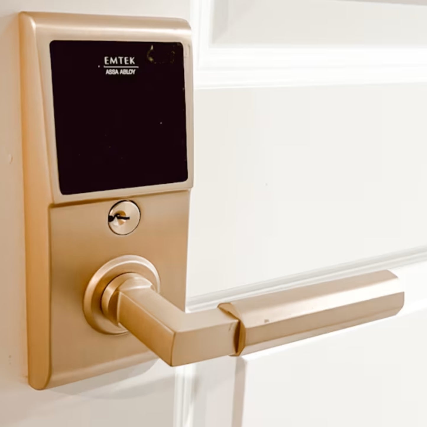 EMTouch Keypad Leverset with Storeroom/Gate Function