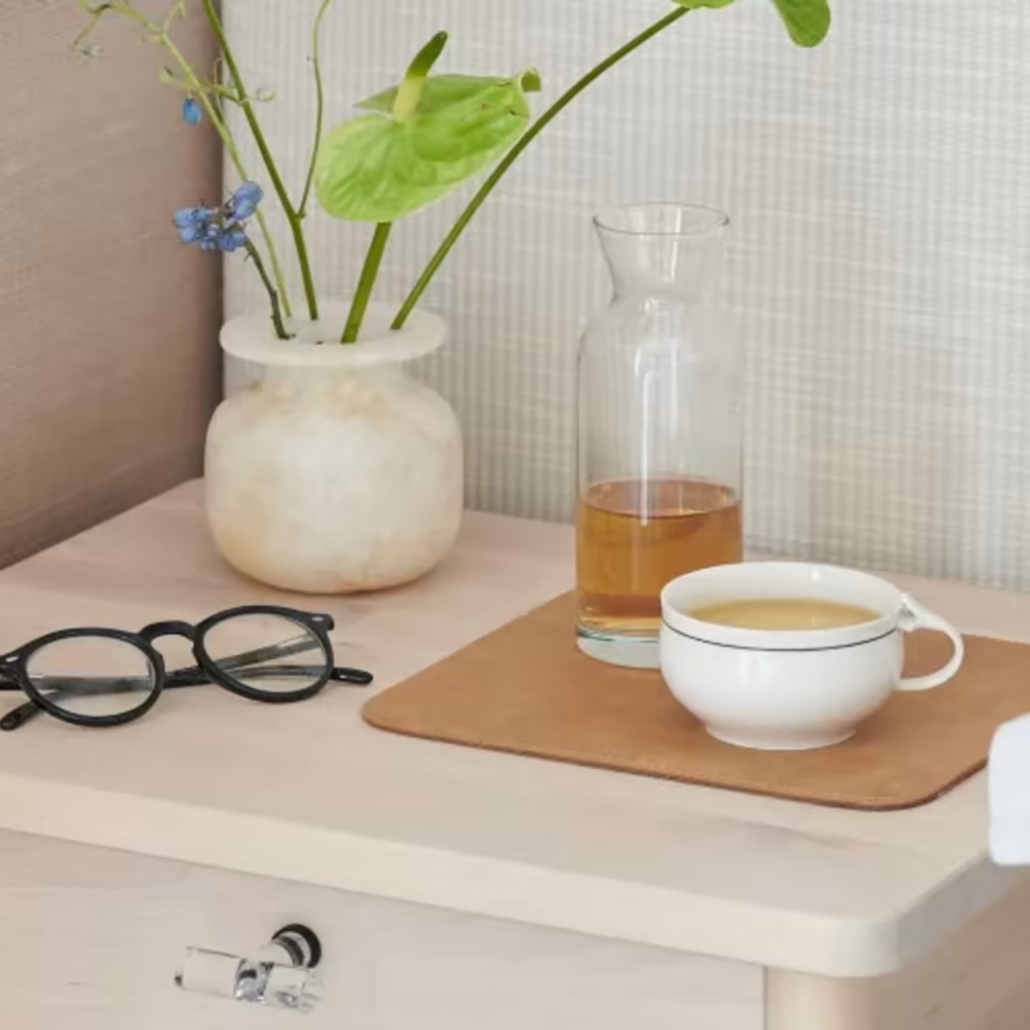 Modern Glass Cabinet T-Knob